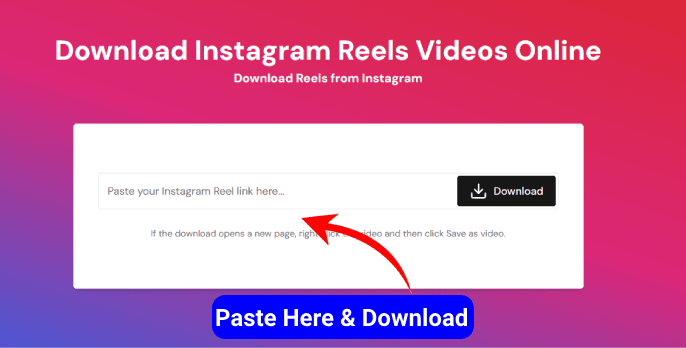 Instagram Reels Video Downloader